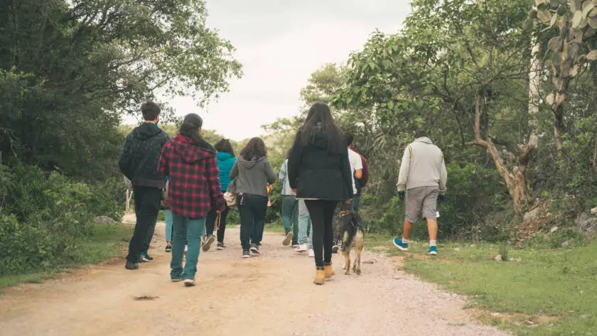 A group walking in the woods